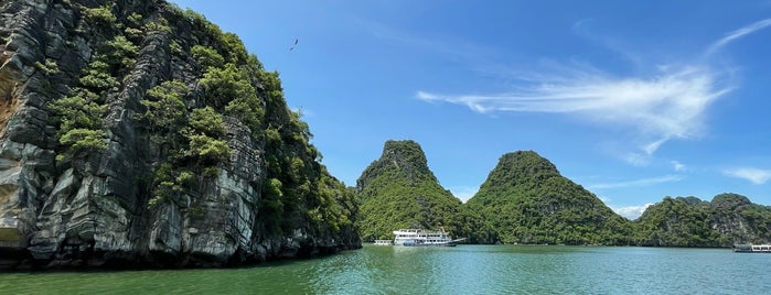 Indochina Sails - Halong Bay Cruises is one of Nice Place.