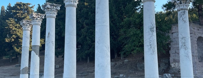 Sanctuary of Asklepios is one of Bodrum-Kos.