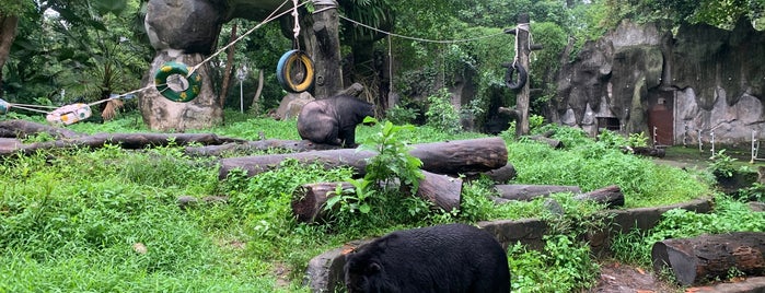 Saigon Zoo is one of Favorites: Ho Chi Minh.