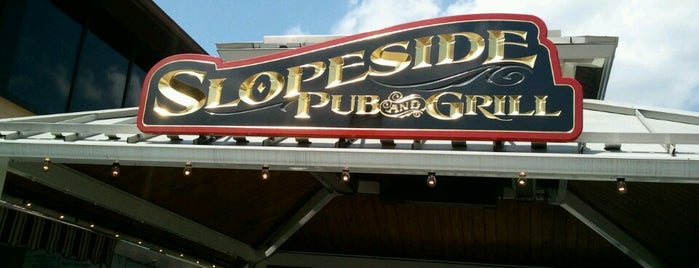 Slopeside Pub and Grill is one of Lugares favoritos de Irina.