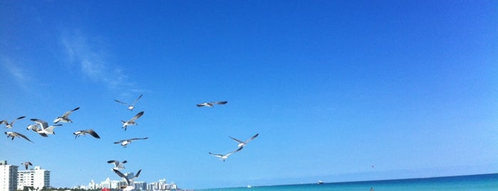 Ciudad de Miami Beach is one of Florida Cities.