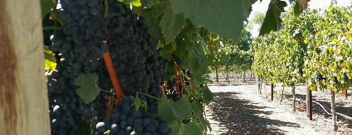 Bodegas Aguirre Winery is one of Lugares favoritos de Penny.