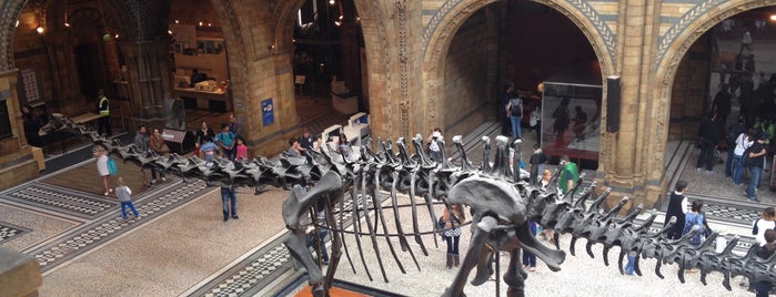 Natural History Museum is one of Museums to visit in London.