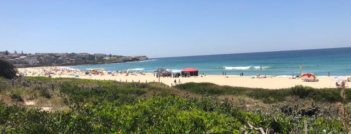 Maroubra Beach is one of Australien.
