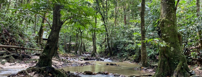 Taman Rekreasi Air Terjun Sg Tekala is one of Local Trip.