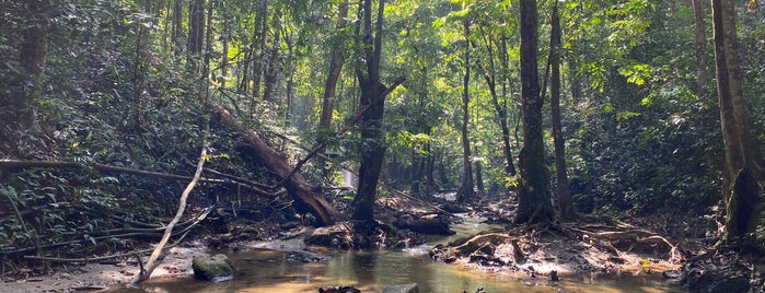 Air Terjun Sungai Tekala is one of Sightseeing.