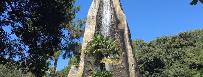 Zoo de La Palmyre is one of France.