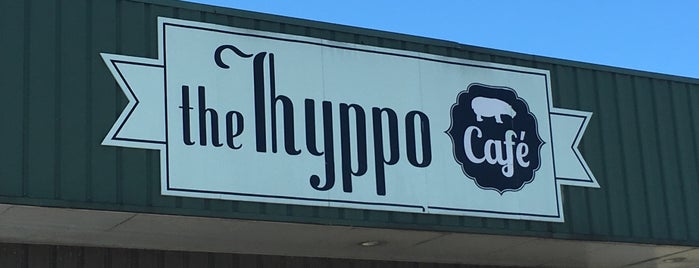 The Hyppo Coffee Bar is one of St. Augustine.
