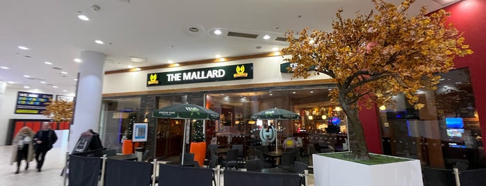 The Mallard is one of Frenchgate Shopping Centre.