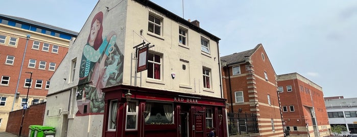 The Red Deer is one of Pubs Worthy of Consuming Ale In..