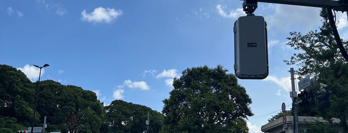 Yoyogi Park Koban Intersection is one of 渋谷区.