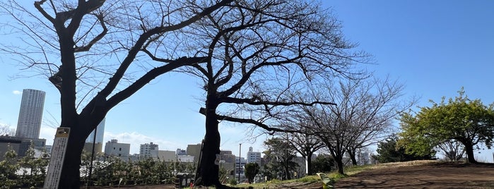 Saigoyama Park is one of 東京街歩き.