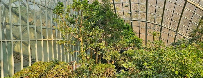 Shingu Botanic Garden is one of 아이들과 가볼곳.