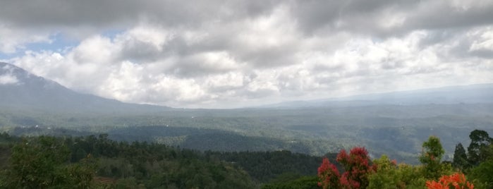 The View Restaurant is one of Tempat yang Disukai Shelova.