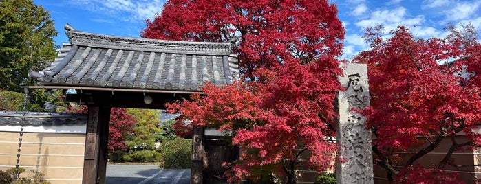 神光院 is one of 京都の訪問済スポット（マイナー）.