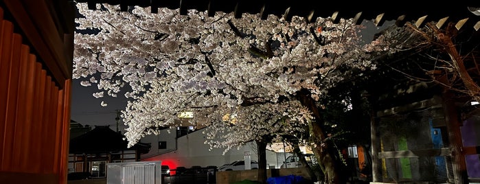 会津藩駐屯地跡(伏見御堂) is one of 京都の訪問済史跡その2.