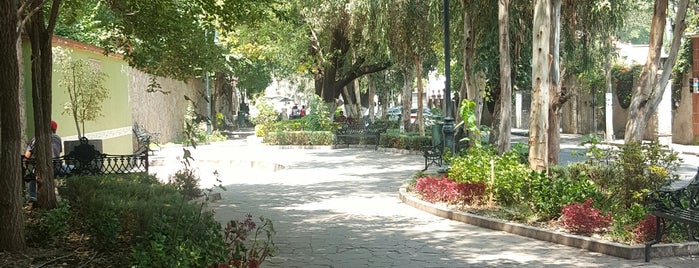 Jardin Del Arte is one of Lugares favoritos de Enrique.