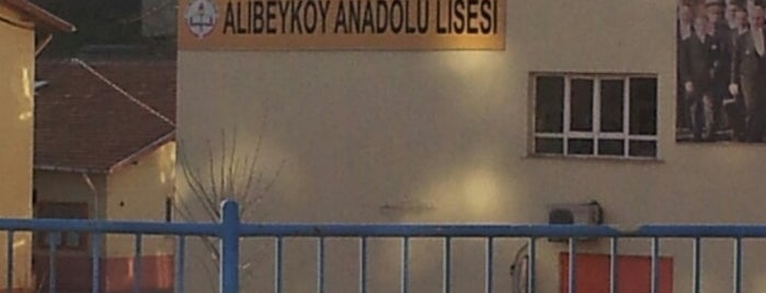 Alibeyköy Anadolu Lisesi is one of Tempat yang Disukai Tuğçe.
