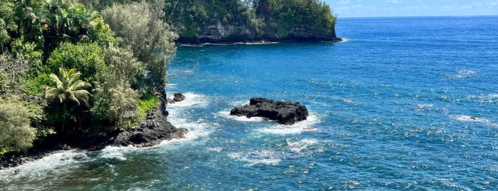 Four Mile Scenic Drive is one of The big island.