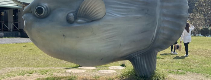 道の駅 紀伊長島マンボウ is one of 熊野古道 伊勢路.