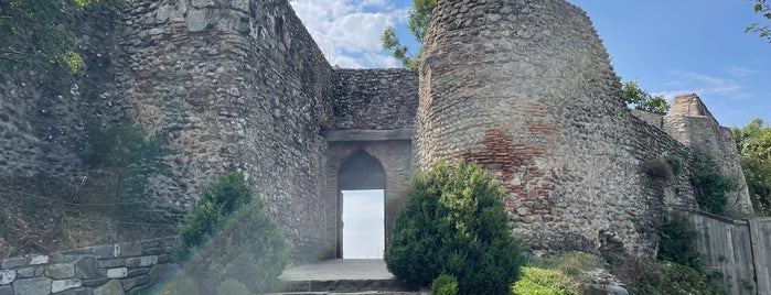 Zedazeni Monastery is one of Святые места / Holy places.