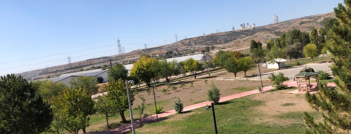 Tedaş Spor Tesisleri is one of สถานที่ที่ Burcu ถูกใจ.