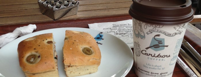 Caribou Coffee is one of All-time favorites in Turkey.