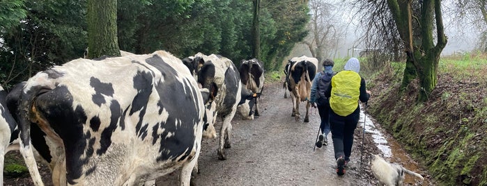 El Camino de Santiago - Pedrouzo is one of Temp.