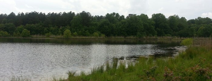 The Pond @ Hunting Club is one of favorites.