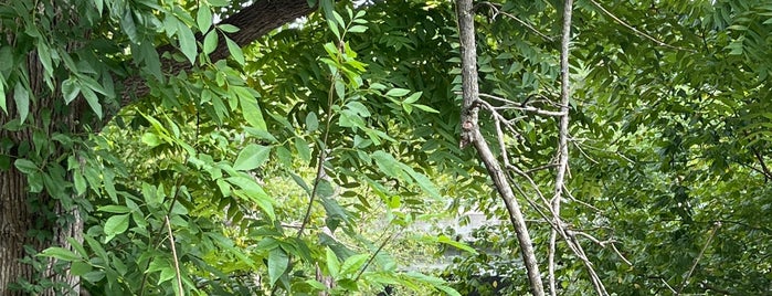 Neuse River Trail is one of Raleigh/Cary/Durham, North Carolina.