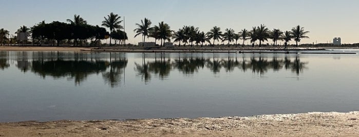 Yanbu Seafront is one of Maram.