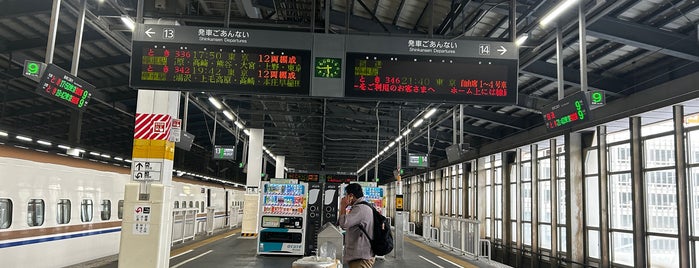 Platforms 13-14 is one of 駅 その3.