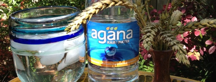 Agana Rainwater is one of Prometheus.