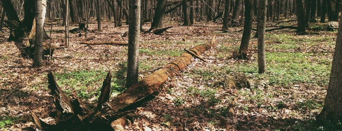 Blue Mound State Park is one of Madison Outdoors.