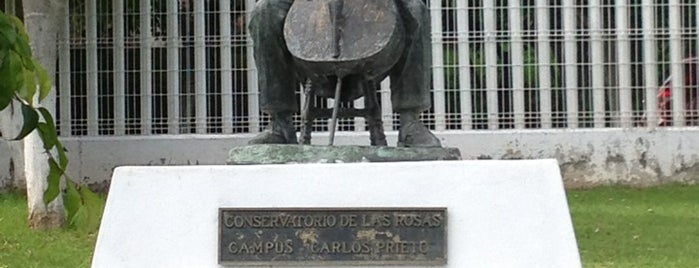 Conservatorio de las Rosas (Campus Carlos Prieto) is one of สถานที่ที่ Vivis ถูกใจ.