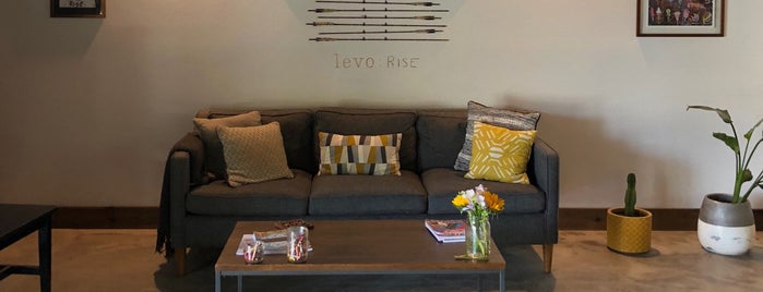 Levo Wines is one of Paso 2019.