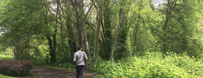 Fanno Creek Walking Trail is one of Lugares favoritos de Erin.