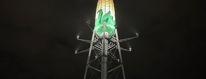 Ear of Corn Water Tower is one of Iowa trip.