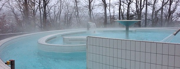 Thermes de Spa is one of Arturさんのお気に入りスポット.