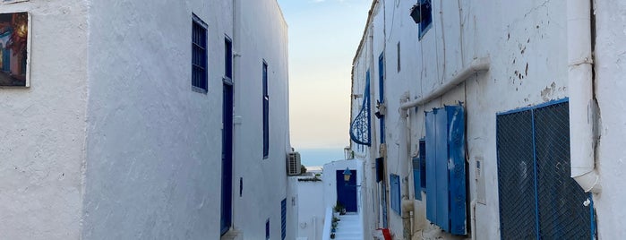 La Villa Bleue is one of Tunisia.