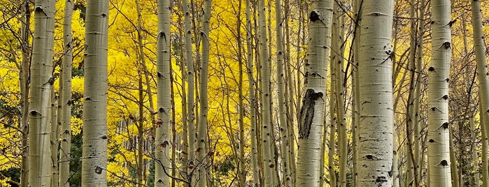 Maroon Bells, Aspen, Co is one of Lieux sauvegardés par Chai.