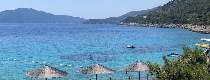 Beach Club is one of Muğla 1.