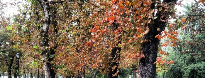 Parque Forestal is one of de a dos.