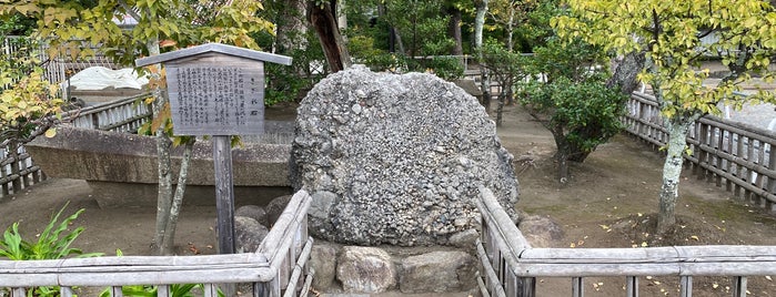 さざれ石 is one of 東京都 3.