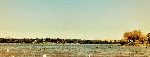 White Rock Lake Park is one of Hangouts.