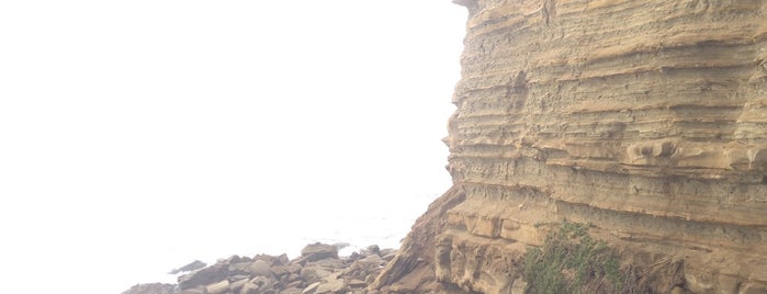 Sunset Cliffs Natural Park is one of Luisさんのお気に入りスポット.