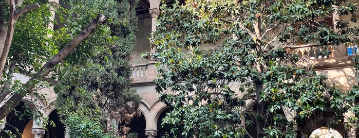Jardins de la Universitat de Barcelona is one of global catspotting.