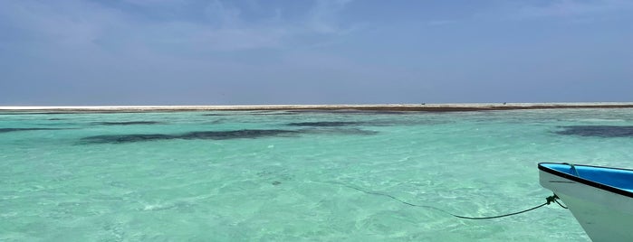 Mnemba Coral Reef is one of Zanzibar.