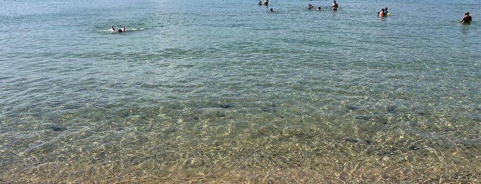 Plage de la Bouillabaisse is one of Mediterranian. Море, пляжи.