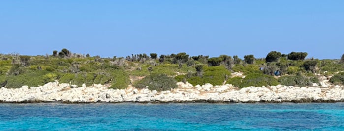 Küçük Tavşan Adası is one of Plaj & Beach.